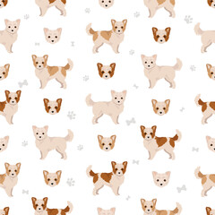 Malchi seamless pattern. Maltese Chihuahua mix. Different coat colors set