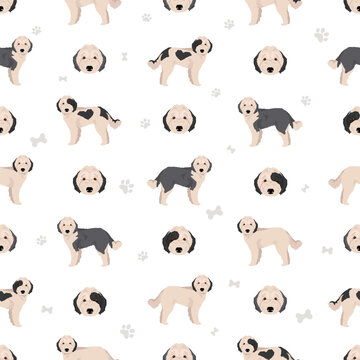 Sheepadoodle Pinterest รูปภาพSheepadoodle – เลือกดูภาพถ่ายสต็อก เวกเตอร์ และวิดีโอ242 | Adobe ...
