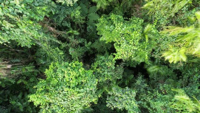 Aerial footage of Nyleeta Creek Queensland Australia