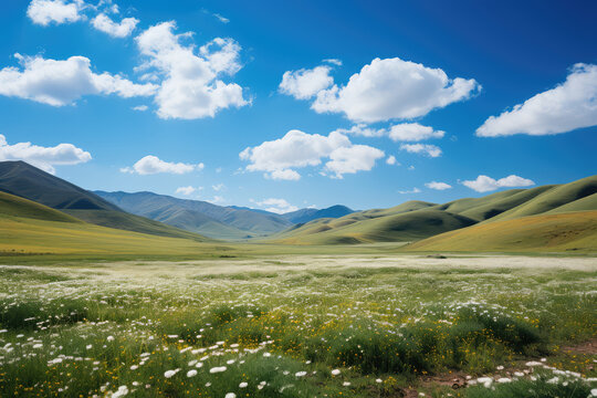 Mountain landscape with grassland and flowers under blue sky with clouds