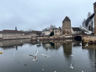 charles bridge city
