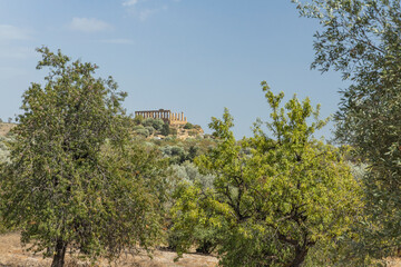 View and details of the Valley of the Temples in Agrigento, Sicily. A monumental complex preserved in excellent condition of the works of ancient Greece. Timeless beauty, striking, family holidays.