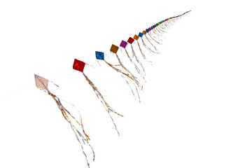 Long-tailed kites fly together in a single line. Isolated on a transparent background.