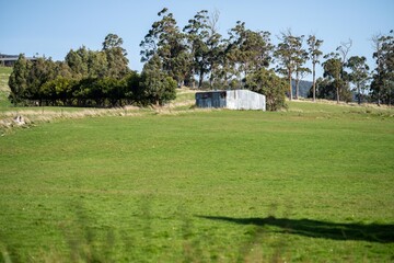 Obraz premium farm shed in a field on a farm in australia
