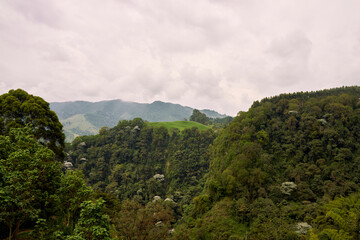 Between Forests and Livestock: The Beauty of Santa Rosa, Colombia