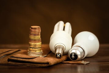Lightbulb and money coins. Energy savings, efficiency or energy crisis banner. Lightbulb changing.