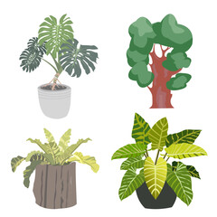 collection of plants