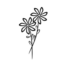 luxury flowers and logo © Wipu