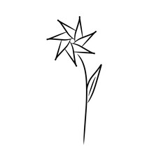 luxury flowers and logo © Wipu