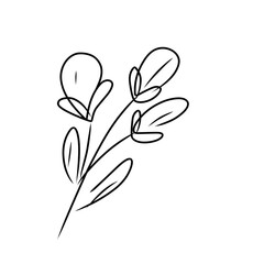 luxury flowers and logo © Wipu