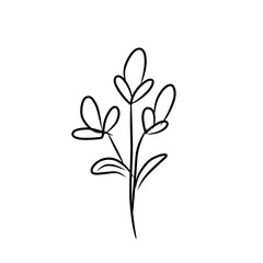 luxury flowers and logo © Wipu