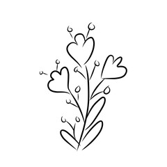 luxury flowers and logo © Wipu