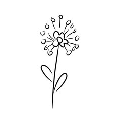 luxury flowers and logo © Wipu