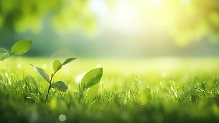 Fotobehang Spring summer background with frame of grass and leaves on nature. Juicy lush green grass on meadow in morning sunny light outdoors, copy space, soft focus, defocus background. © ND STOCK