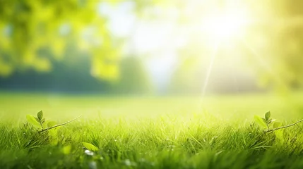 Fototapeten Spring summer background with frame of grass and leaves on nature. Juicy lush green grass on meadow in morning sunny light outdoors, copy space, soft focus, defocus background. © ND STOCK