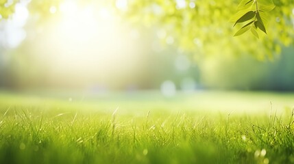 Fototapeta na wymiar Spring summer background with frame of grass and leaves on nature. Juicy lush green grass on meadow in morning sunny light outdoors, copy space, soft focus, defocus background.