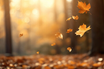 Naklejka na ściany i meble Flying fall leaves on autumn forest background in golden hour, copy space