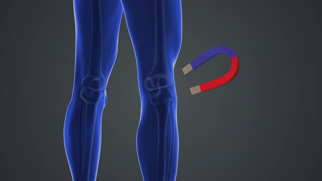 Magnet therapy for knee joint pain