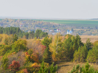 Beautiful autumn panoramic landscape in the forest. Autumn woods tree