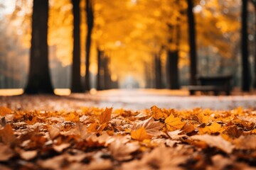 Naklejka na ściany i meble Scattered Autumn Leaves on Ground