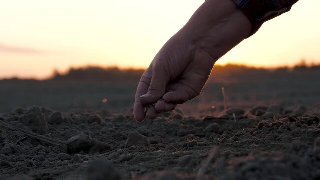 Closeup of gardner farmer hands gently scattering seeds into fertilizer soil at sunset sun. Organic bio farming in agriculture and spring gardening. Sowing season. Manual sprinkling seeds in ground