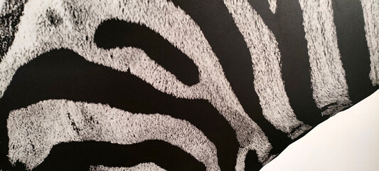 zebra skin texture