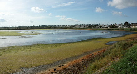marais; bord de mer; region Bretagne; reserve naturelle des marais de Pen Mané; Locmiquélic; 56, Morbihan, France