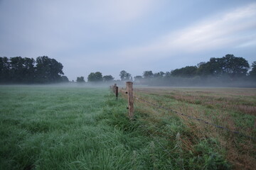 Landschaft am frühen Morgen auf einer eingezäunten Wiese mit Nebel