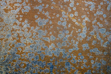 the beauty of the cement texture