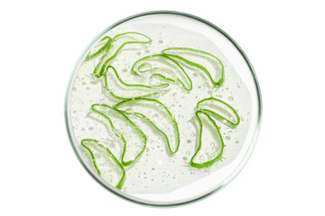 Petri dish isolated on empty background. Slices of aloe vera gel in a Petri dish.