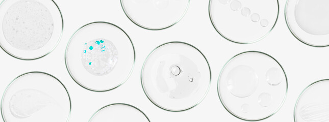 Rectangular banner with Petri dishes isolated. Smears of transparent gel, serum. Can be pasted on your background