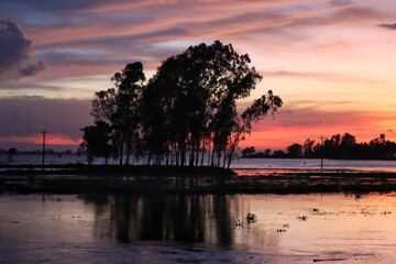 Fototapeta na wymiar Twilight sky over a huge pond after sunset in a rural area of Bangladesh 