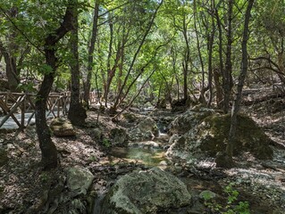 Beautiful view of the Valley of the Butterflies (Petaloudes) on Rhodes Island, Greece
