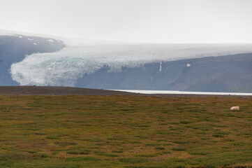 landscape in Iceland
