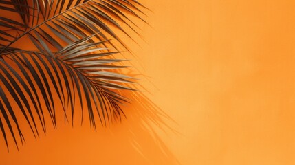 Concrete orange background with palm leaves.