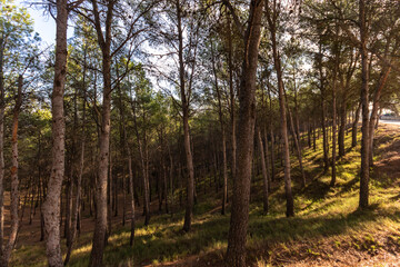 El municipio de La Almolda en la Comarca de los Monegros en la provincia de Zaragoza 