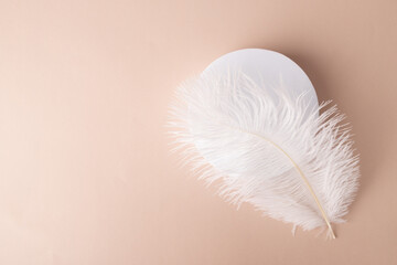Feather and podium cosmetics mockup on natural background, presenting cosmetics with the delicate touch of an angel's wing, a pastel dream