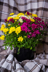 Fototapeta na wymiar bouquet of bright flowers in a pot