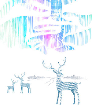 Deer in the snow and the aurora borealis. Drawing with liner, ink.