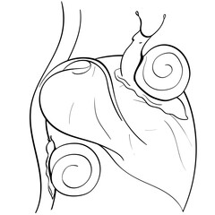 Line art of Snails on a Plant