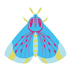 Butterflies, colorful butterfly brimstone insects illustration engraving