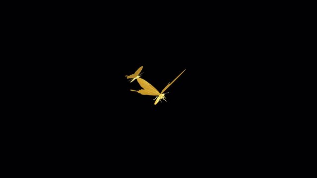 Two Golden Butterflies - Pair Flying Around Loop - MS - Realistic 3D animation effect with alpha channel on transparent background