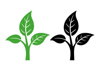 vector colorful willow leaf, leaf illustration design