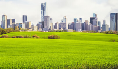 landscape in the city