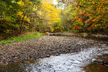 Selective focus view of the Cap-Rouge river flowing in woods with colourful Fall foliage, Quebec...