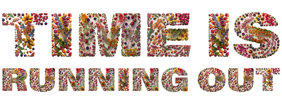 Transparent seasonal spring marketing resource slogan, time is running out