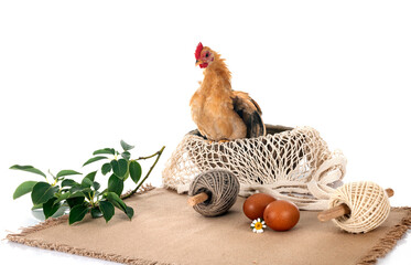 nature decoration and chicken