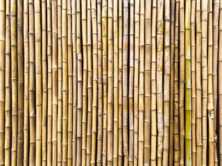 Bamboo fence wall texture background ecology construction. Natural brown bamboo plank fence texture for background.