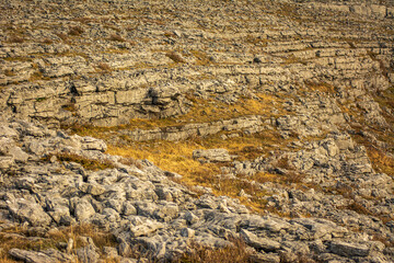 stone desert sufrace
