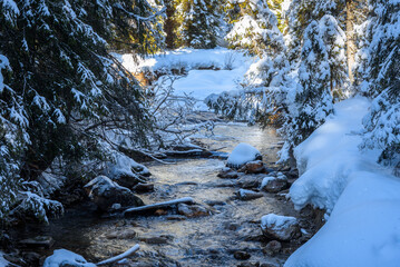 Mountain creek through a snow covered forest in winter